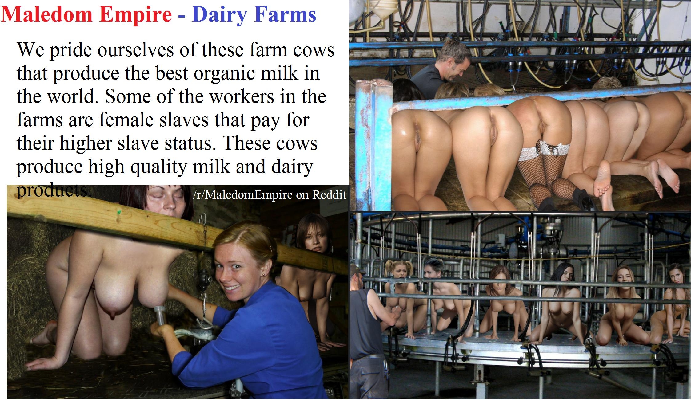 Real nude bdsm farm milking mammeries anal