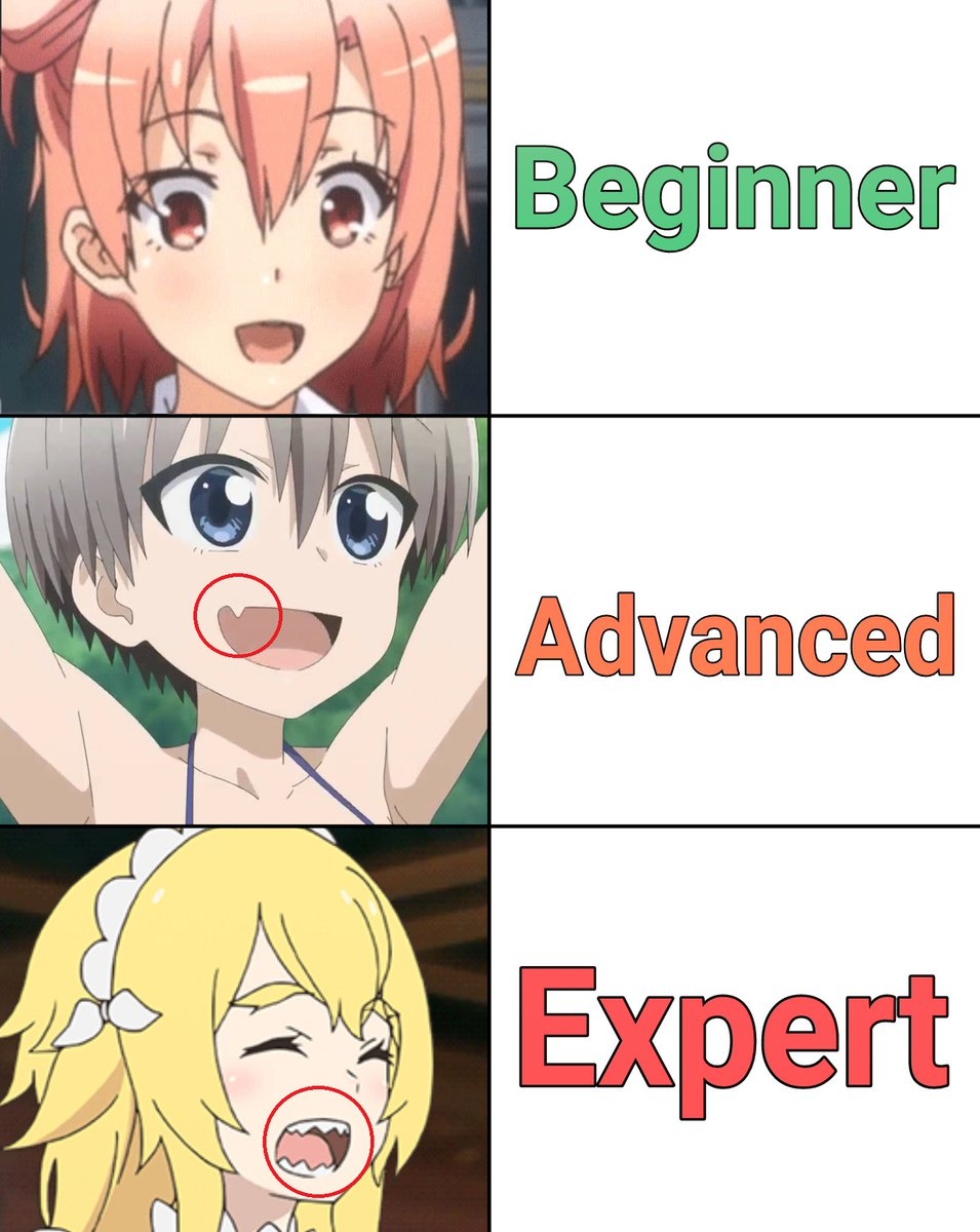 Beginner Intermediate Advanced Expert Mem