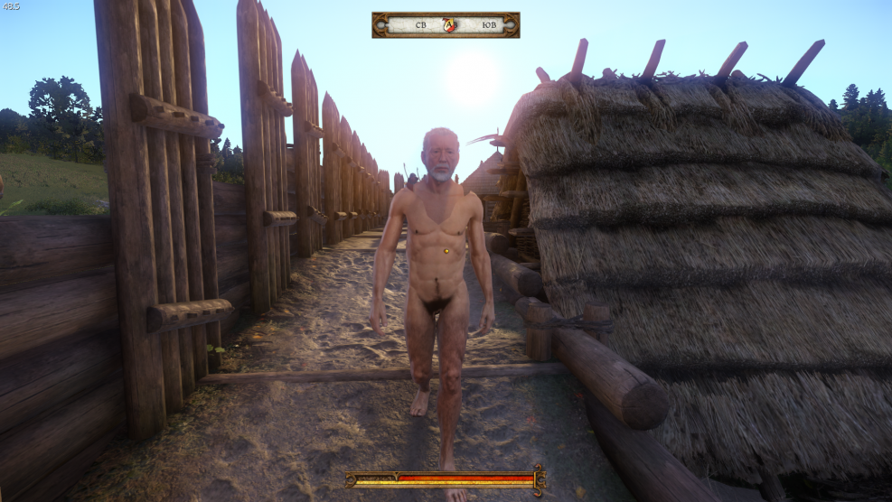 Witcher 3 Wild Hunt Keris Naked