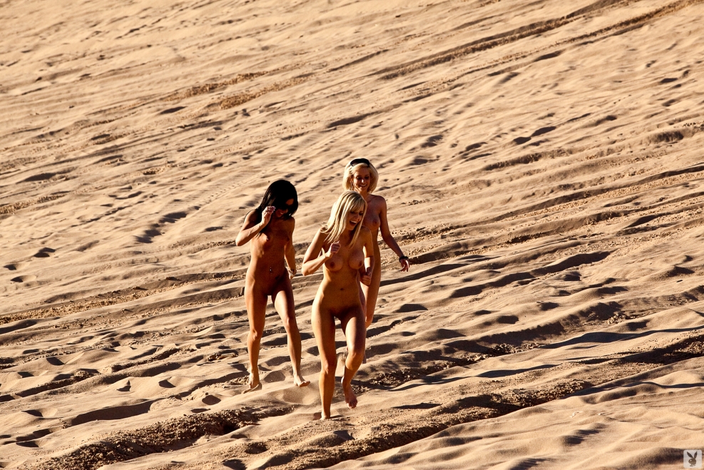 Blonde sucks on the beach
