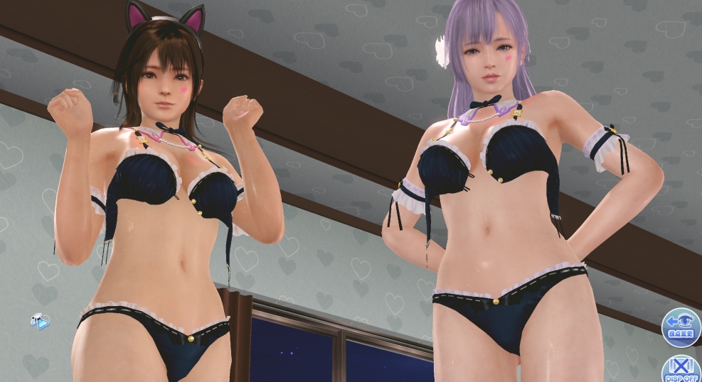 Dead or Alive Xtreme Venus Vacation Kasumi