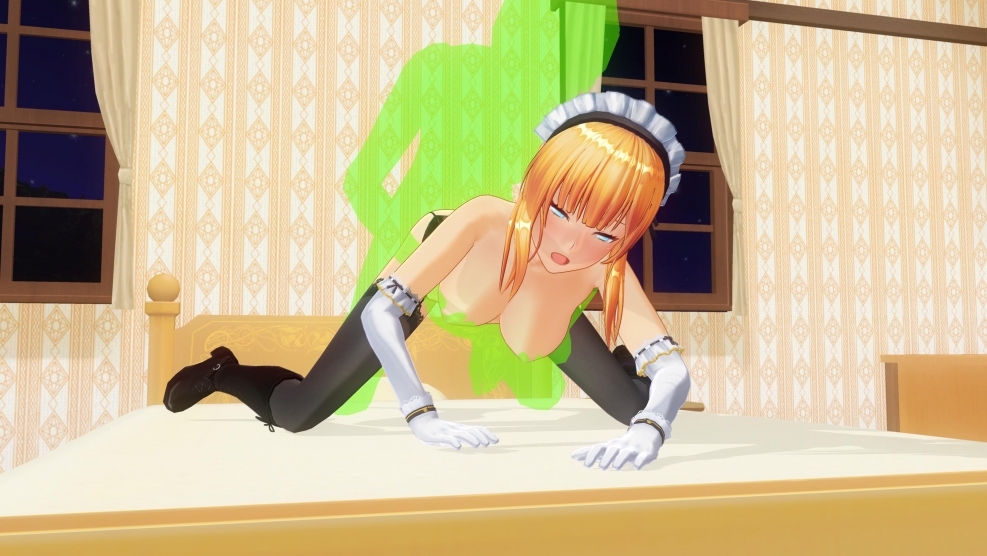 Custom Maid 3D 2