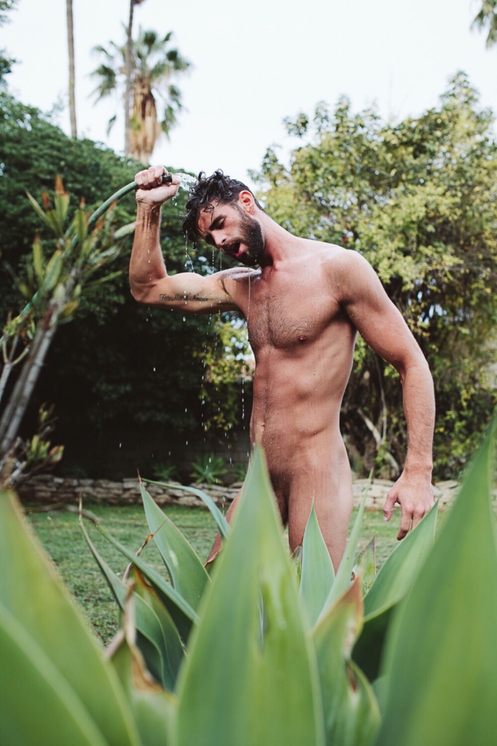 Chris Salvatore Member Naked