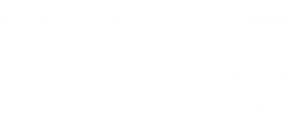 Model Maria Vishnevskaya