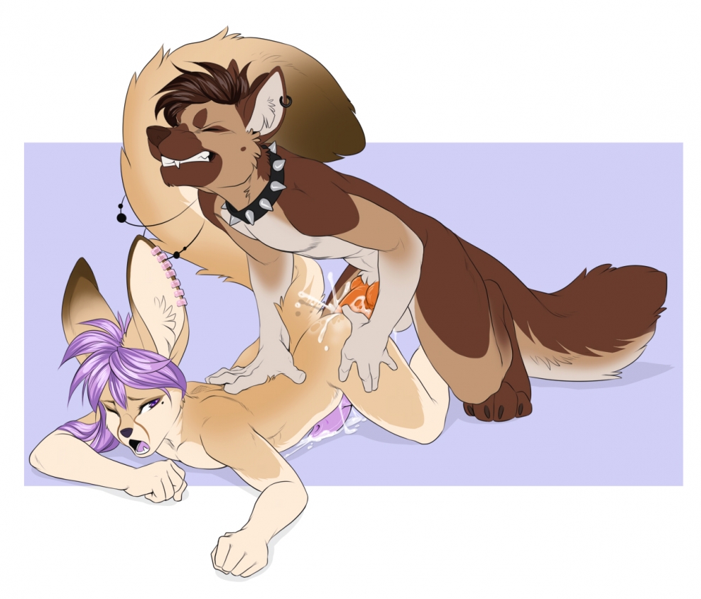 Furri Feneck Kunilingus