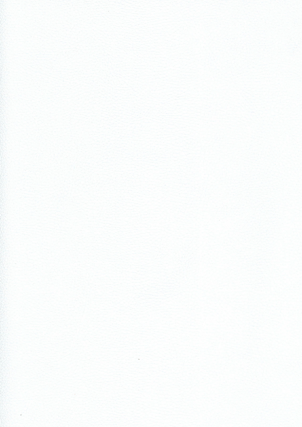 Lara McWhorTer photo