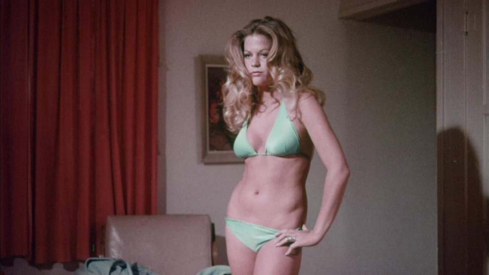 NN-DF383BZPE (inverter)