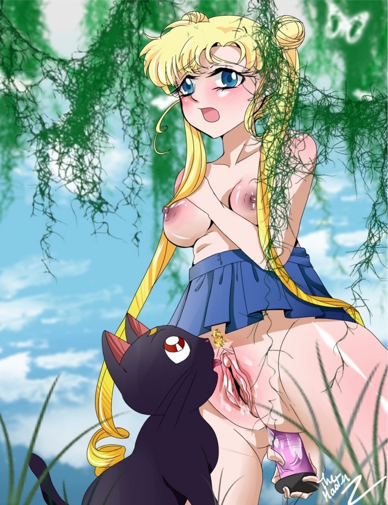 Sailor Moon Anime Porn - Sailor Moon Luna (23 photos) - porn