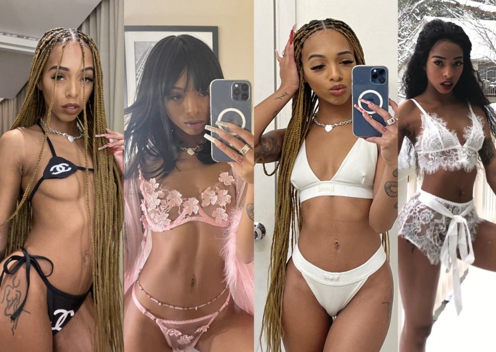 Wesley Woods (Wesley Woods)