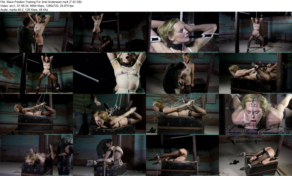 Ariel Anderssen - Electronic breast Training Machine