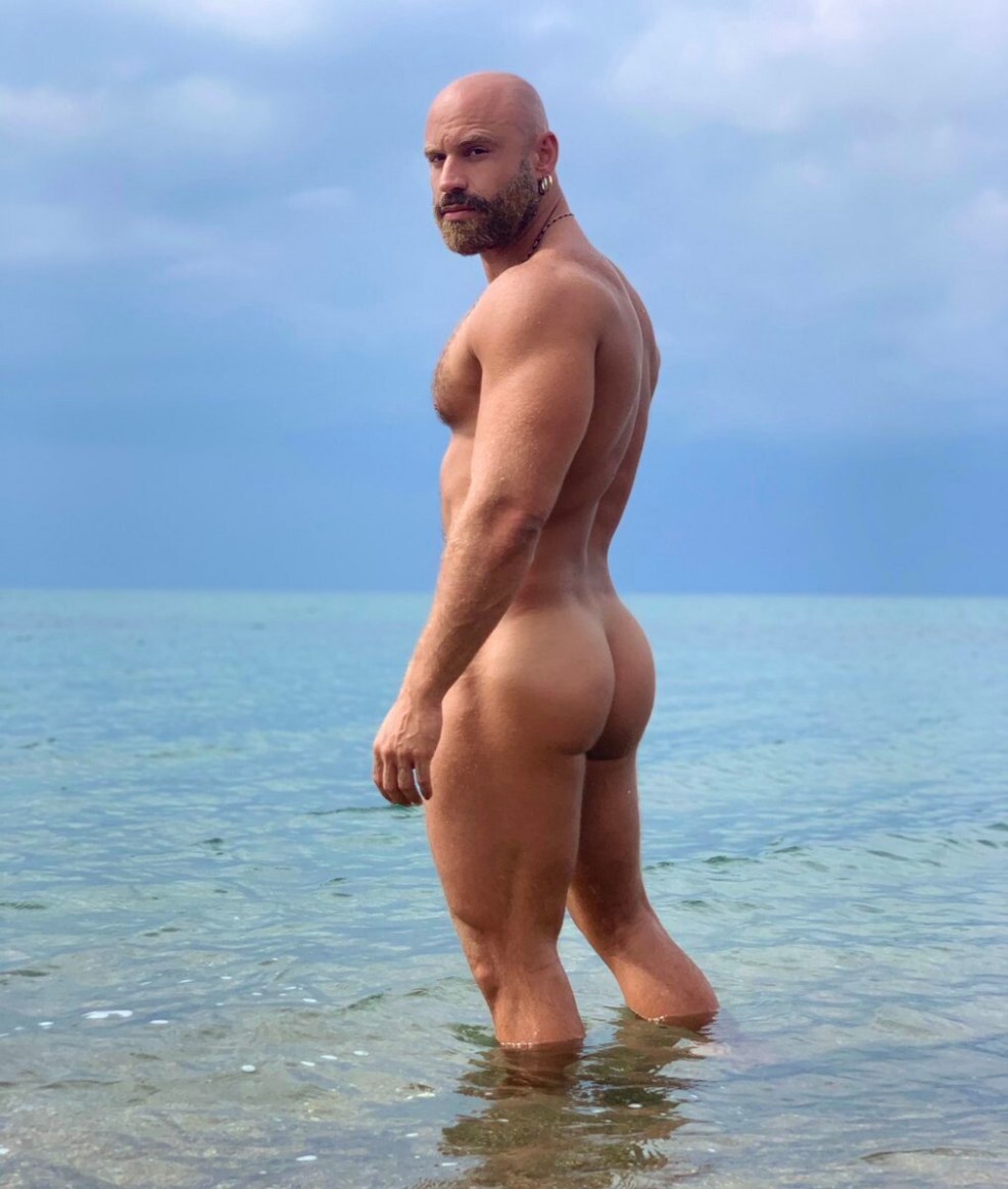 Blog Search Engine Muscle Hairy