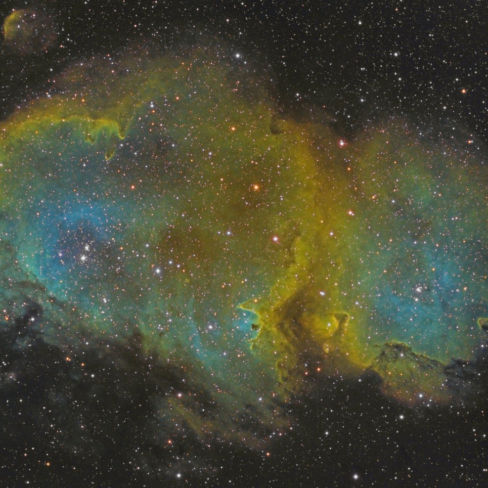 Fairies against tentaclides 3