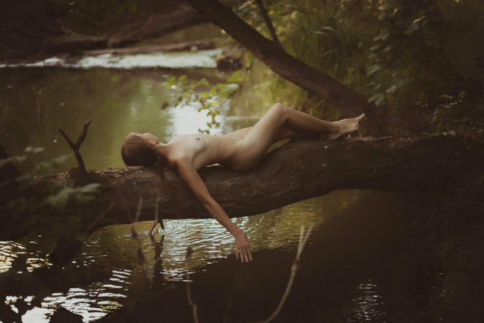 Bogdan Gromov pornAkter