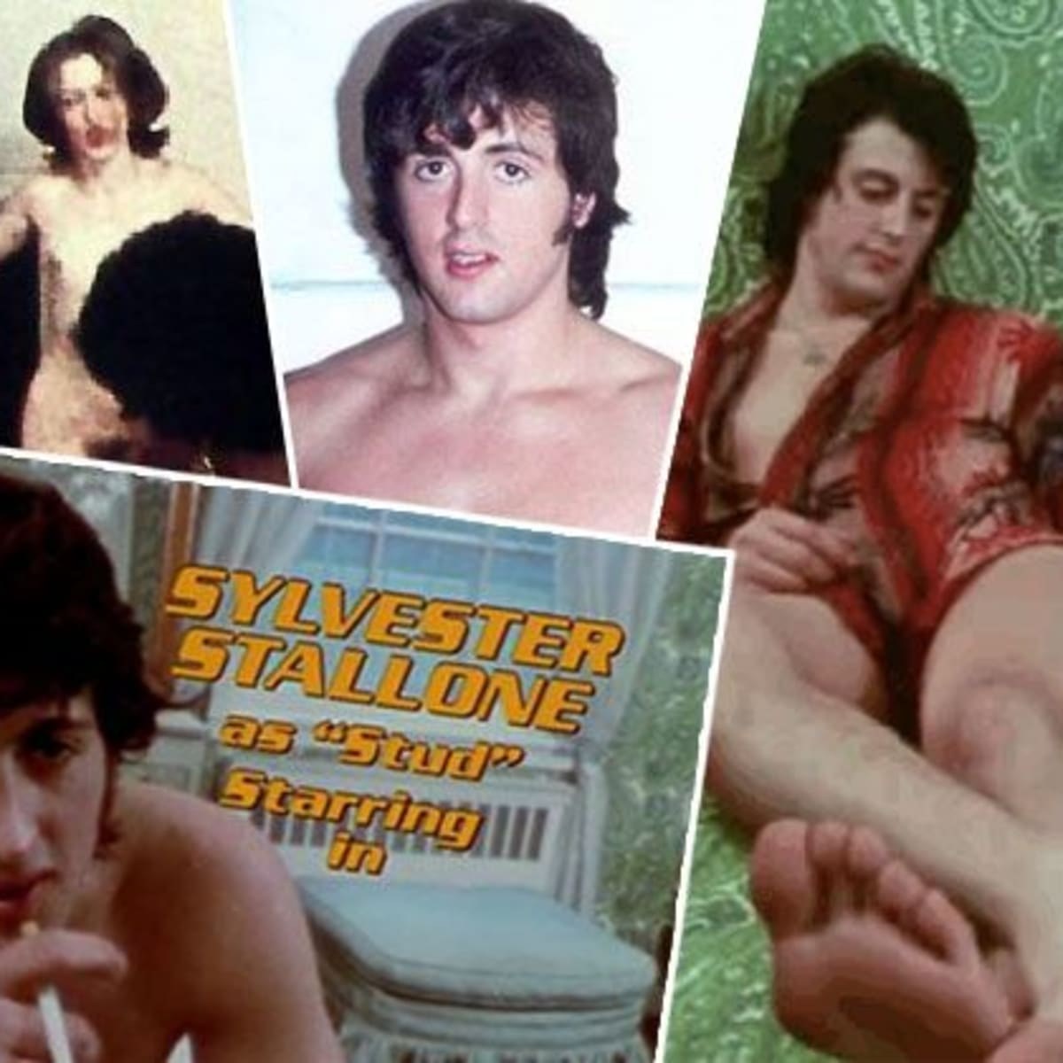 Did sylvester stallone do porn