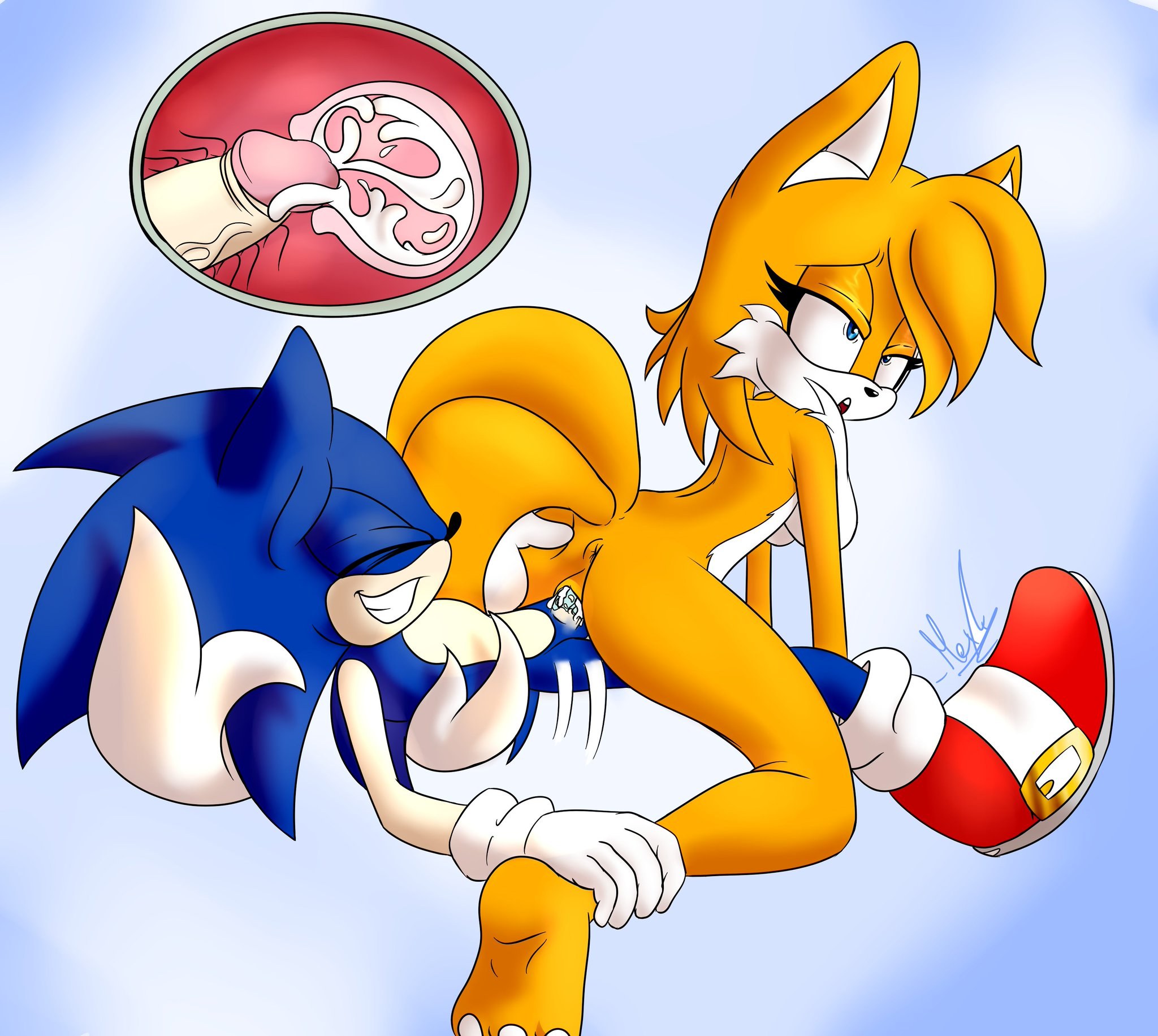 Hentai Sonic Tailz and Cosmo.