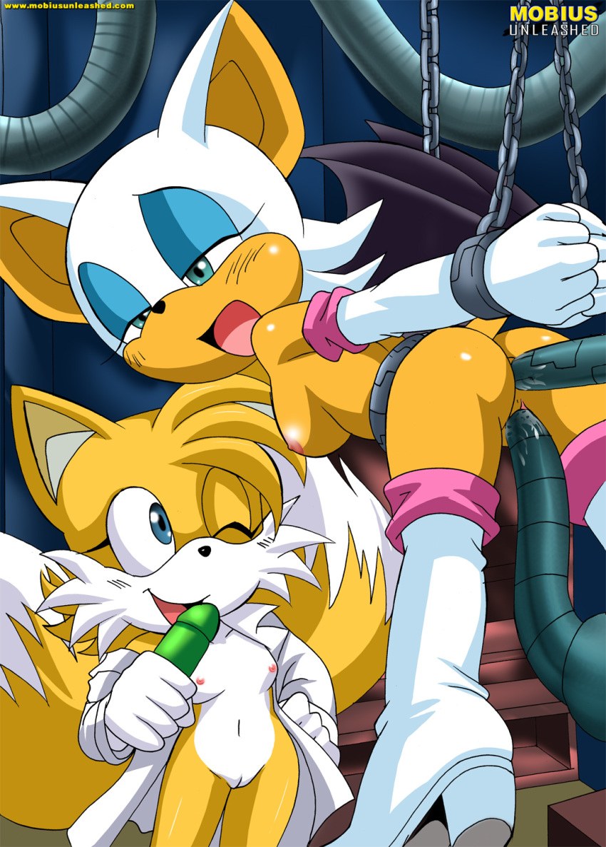 BDSM Hentai Sonic and Tayles