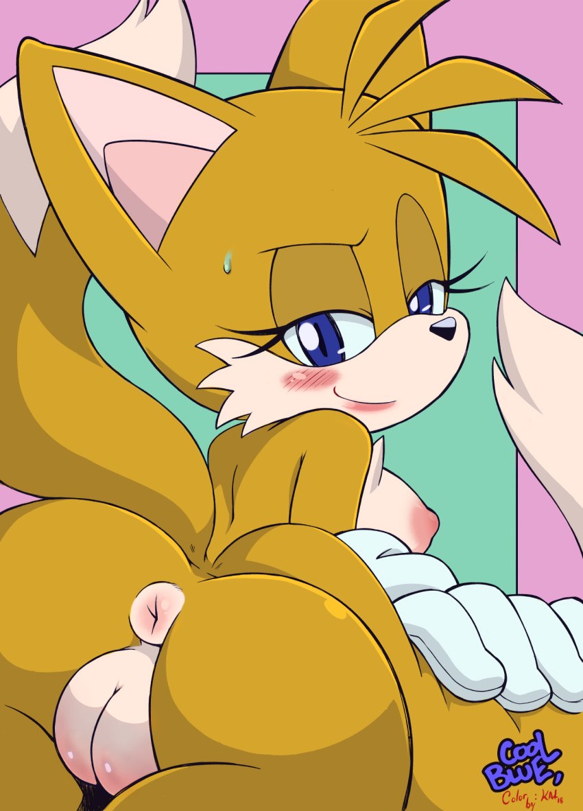 Erotic adventure of Sonic