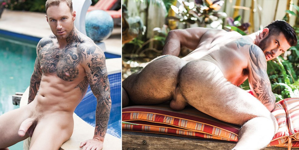 Carter Dane Pornography