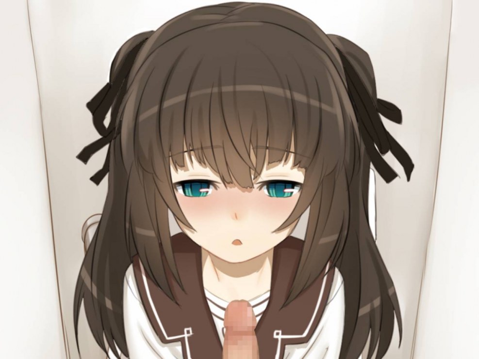 Sister shino osaru hentai