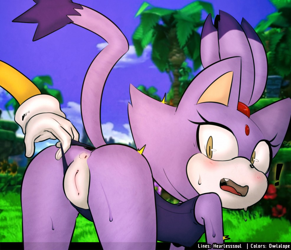 Sonic and Man Jaa Furry Gay