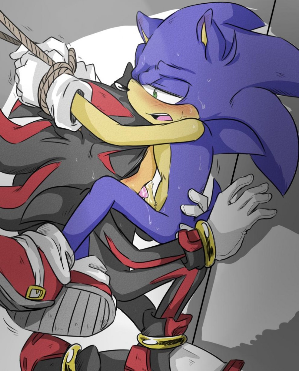 Tailz and Sonic Rule 63 hentai