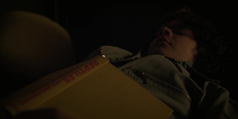 Max Stranger Things Shirt