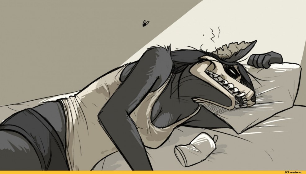 Organizations SCP Universe