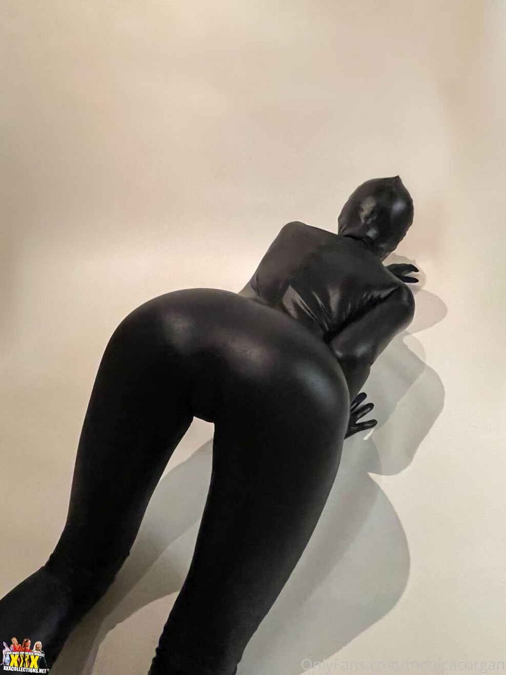 Monica Corgan Drying