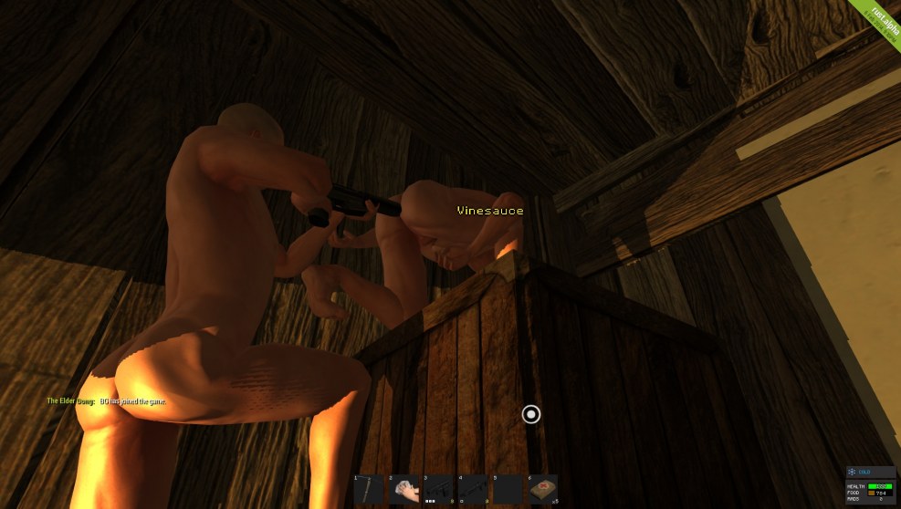 Naked woman in the game backdoor