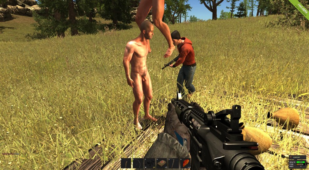 Rust game