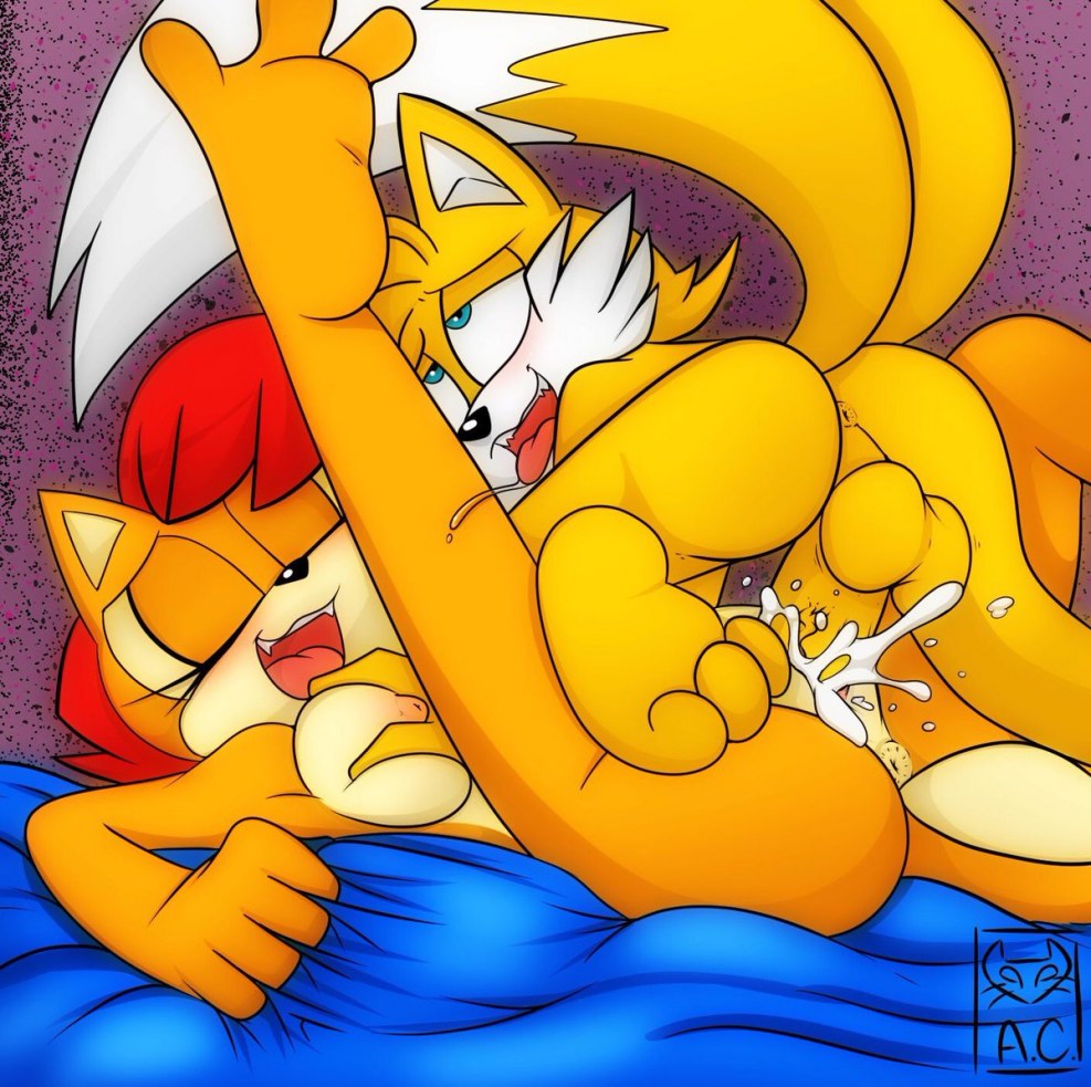Amy Hentai Sonic and Tayles