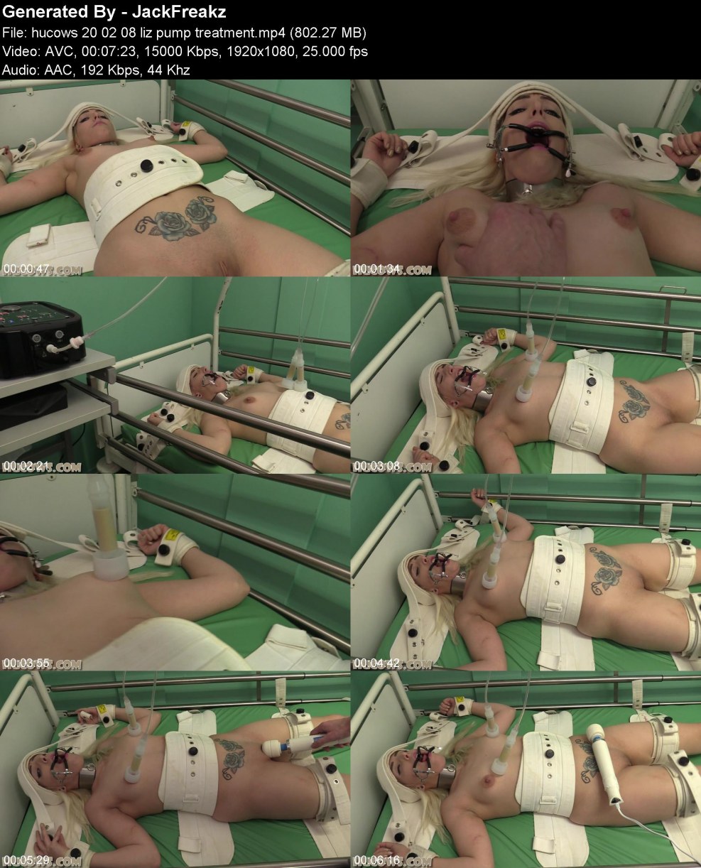 Doika girls bdsm hucows