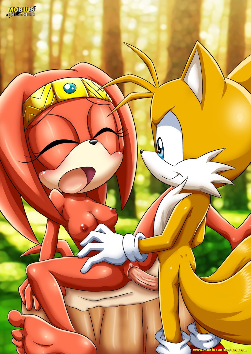 Sonic Sticks and Amy Rose The Badger Hentai