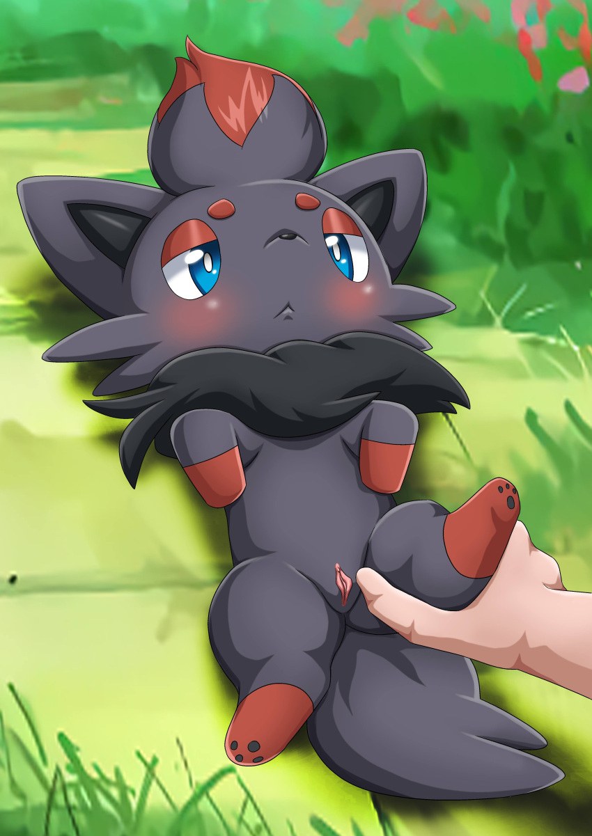 Hentai Pokemon Zoroark