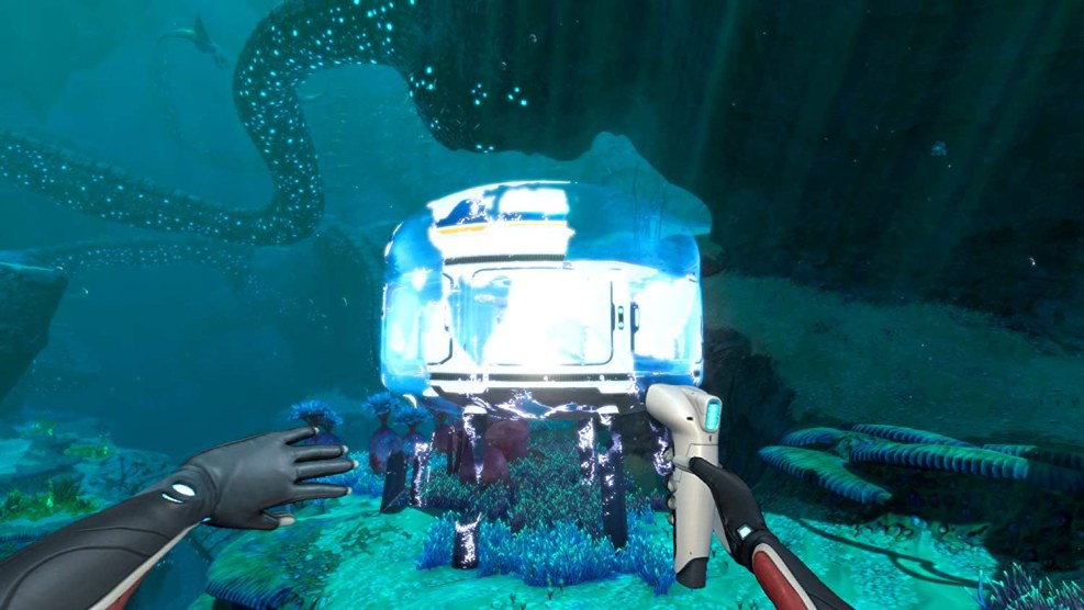 SUBNAUTICA name