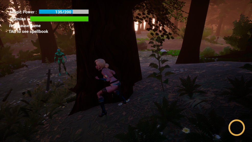 Meridiana's Magical Investigations