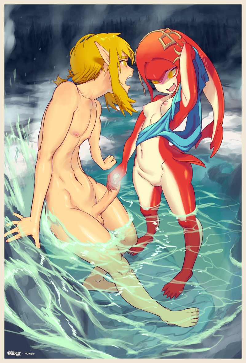 Zelda Link Gerudo Anal