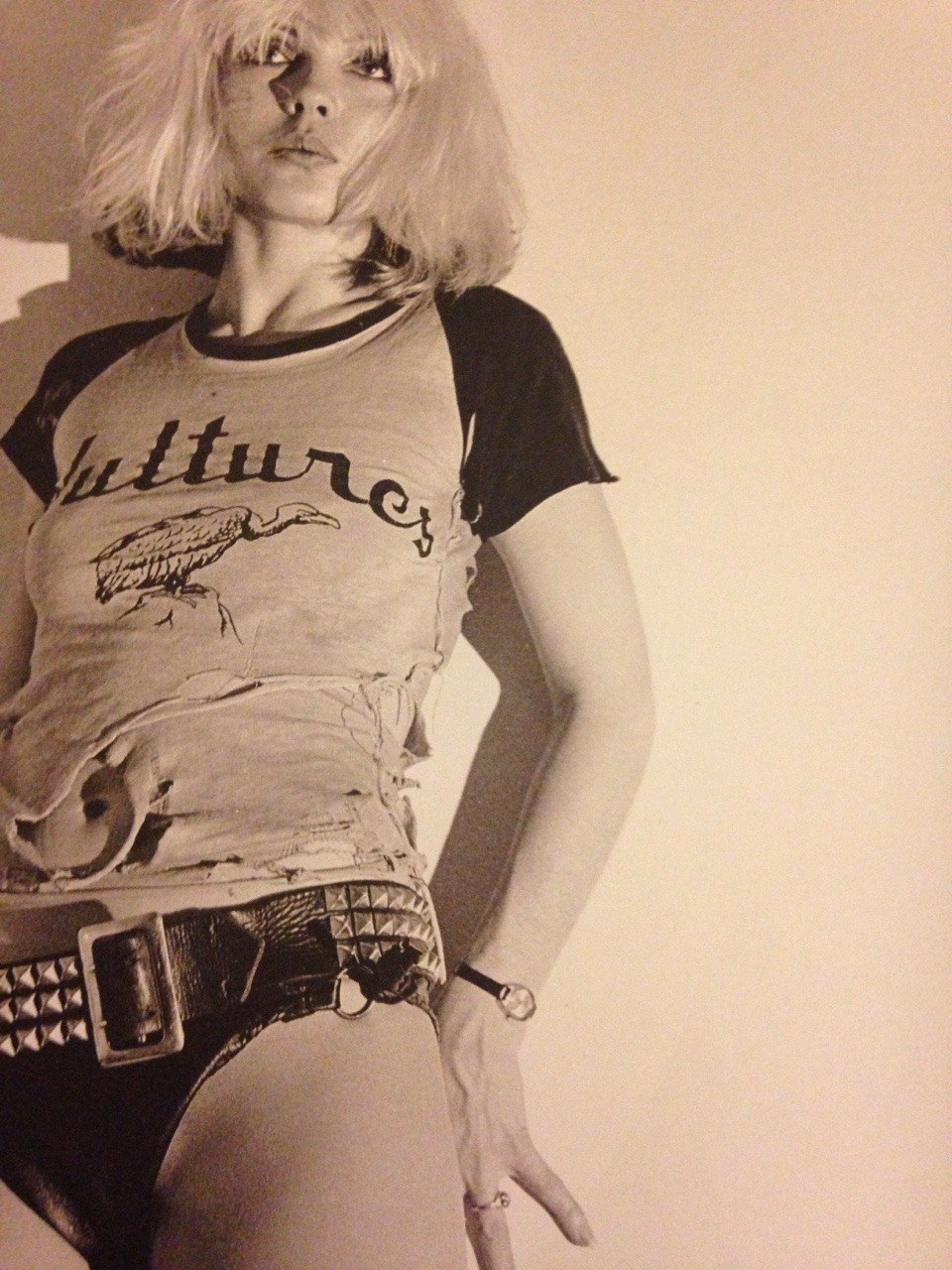 Beautiful hairy blondes retro