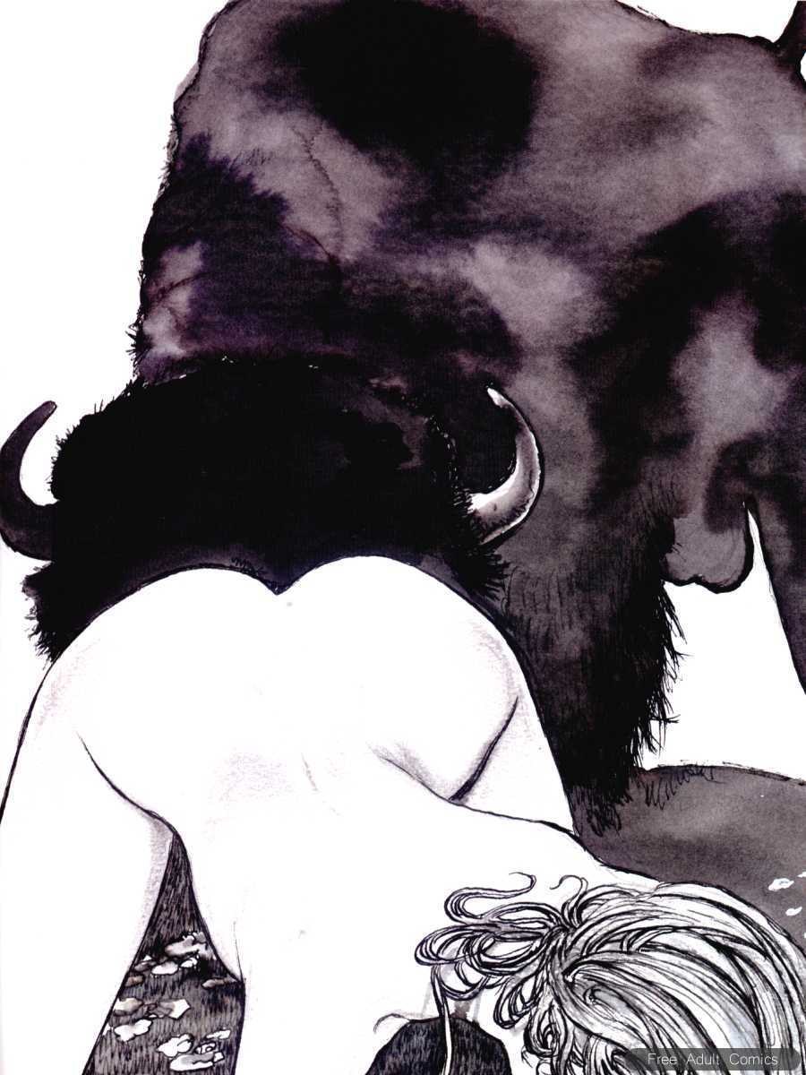 American erotic comics