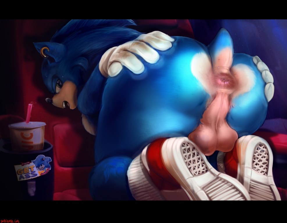 Sonic R63 Shädman Artist