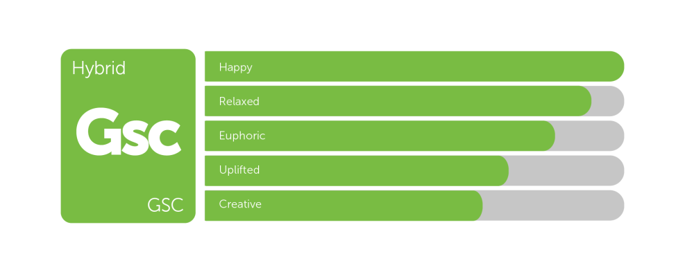 Hunter Shafer Bed Scene