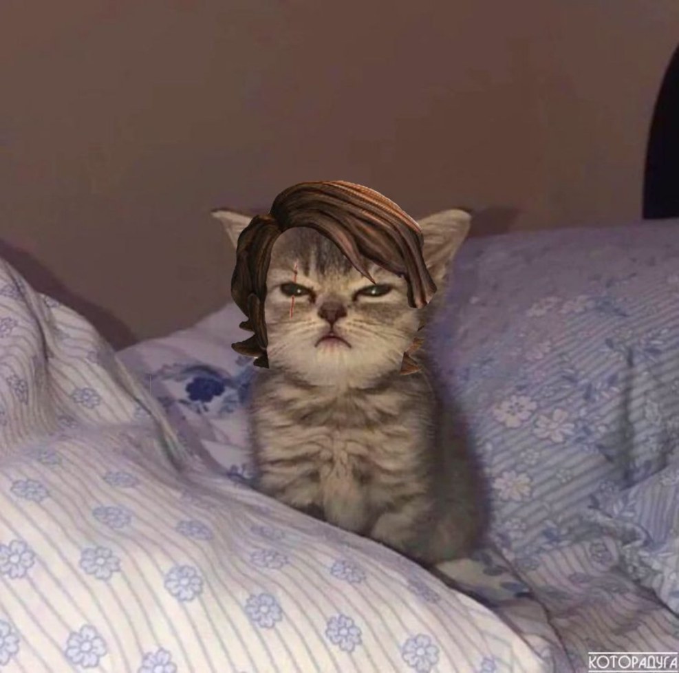 This Class Is So Boring Original