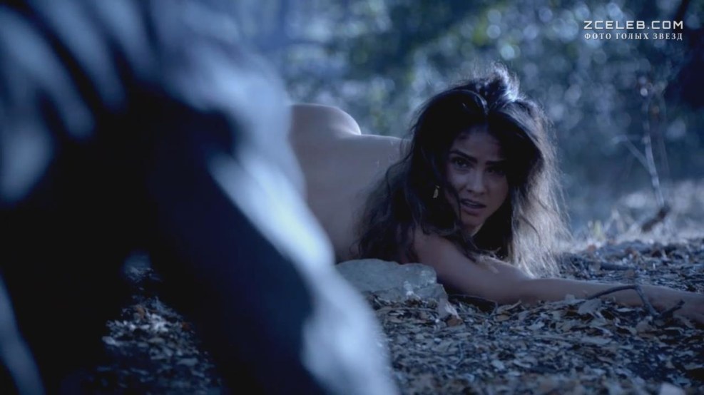 Shelly Hennig Pornography