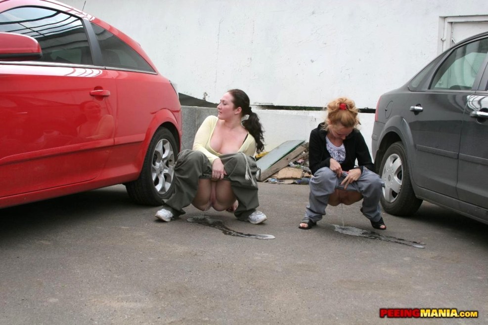 Girl pissing from the car