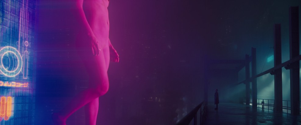 Sally Harmsen in the blade runner