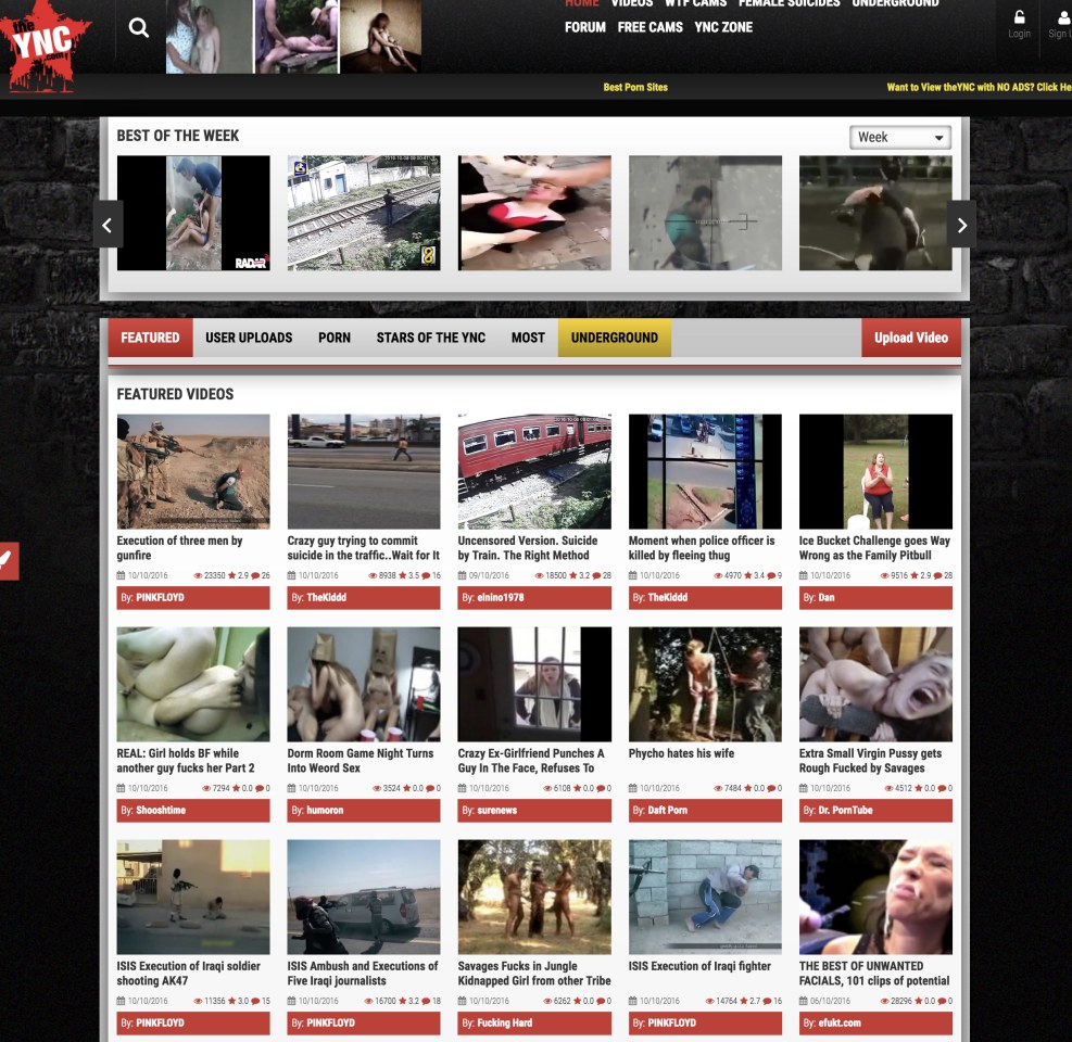 The vagina is dead girl