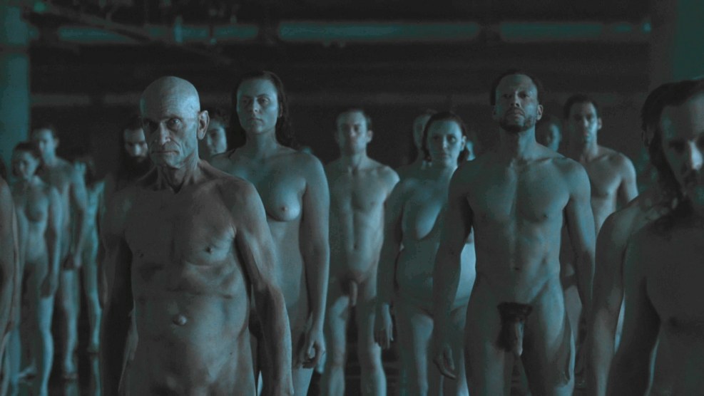 Sibilela Wein Dorian Gray 2009