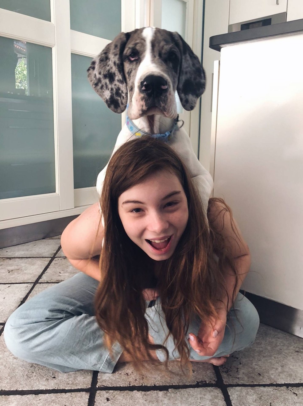 Piper - Julienne Led Frederico