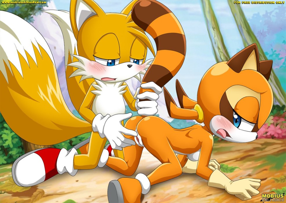 Miles Tails Prwer and Rouge The Bat Anal Hentai