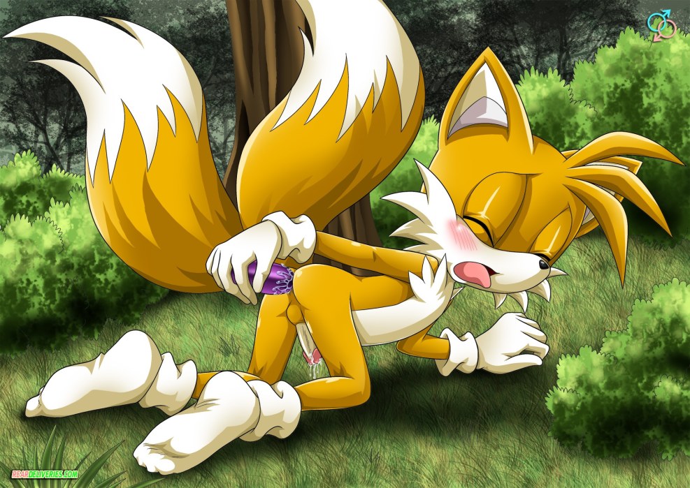 Sonic Hentai Tails Big Chest